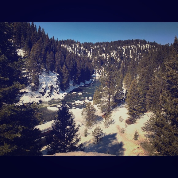 Meet your Posher, Karlee - Picture 1 of 1